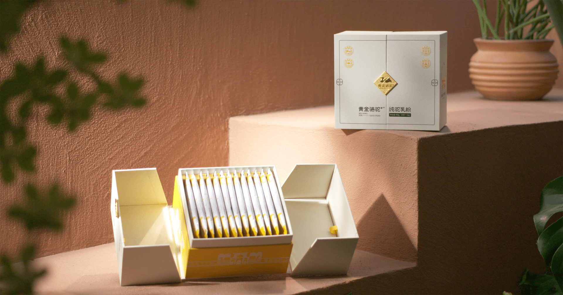 定位小众高端乳粉，yd12399云顶集团推出驼奶品牌“黄金骆驼+”，角逐乳品新市场！